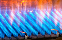 Rhode gas fired boilers